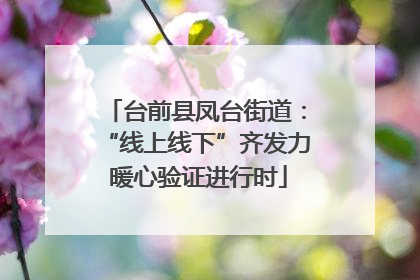 台前县凤台街道：“线上线下”齐发力 暖心验证进行时